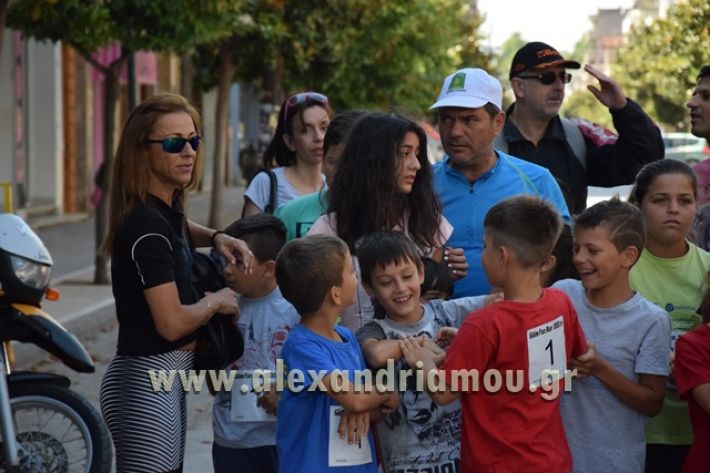 alexandriamou_1_alexandrinos_dromos024